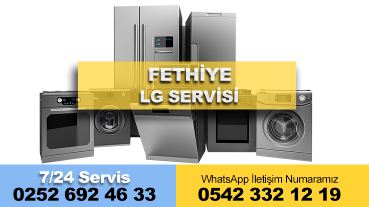 Fethiye LG Servisi